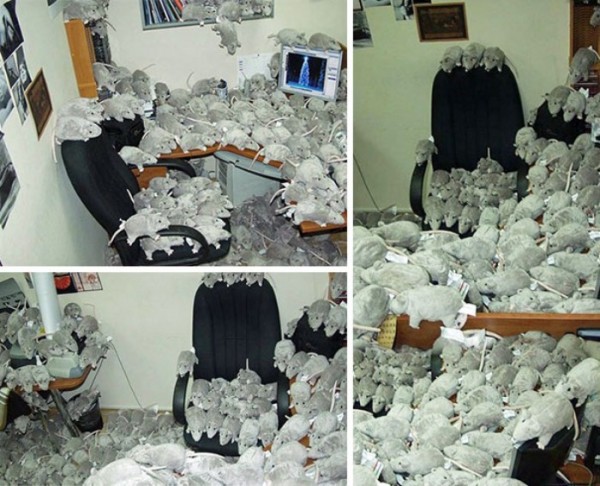 april-fools-day-09