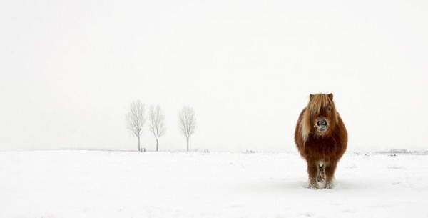 concurso-mundial-fotografia-sony-01