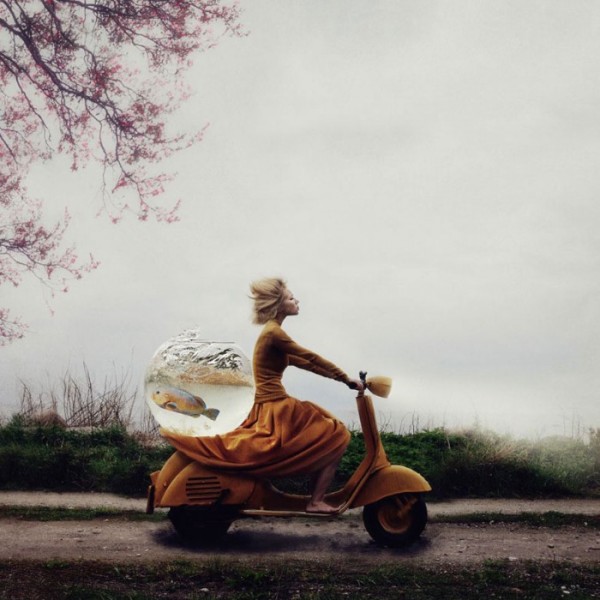 concurso-mundial-fotografia-sony-09