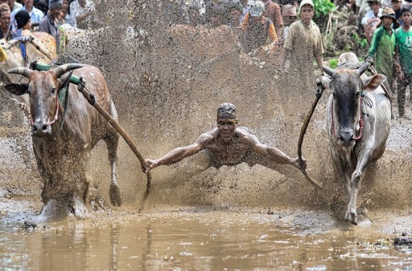 concurso-mundial-fotografia-sony-10