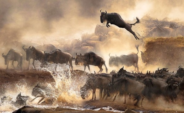 concurso-mundial-fotografia-sony-12