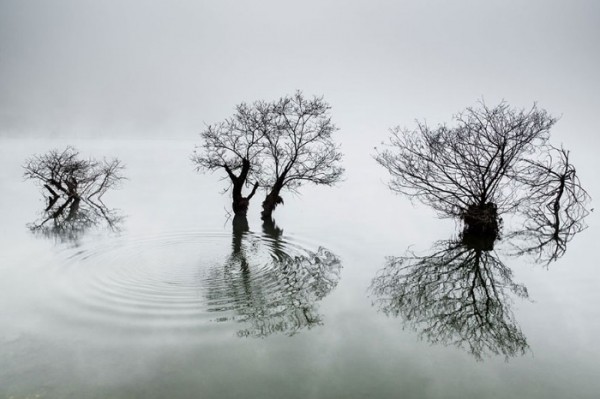 concurso-mundial-fotografia-sony-17