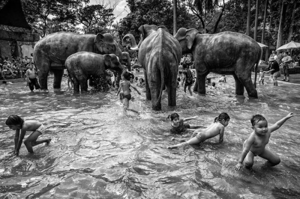 concurso-mundial-fotografia-sony-18