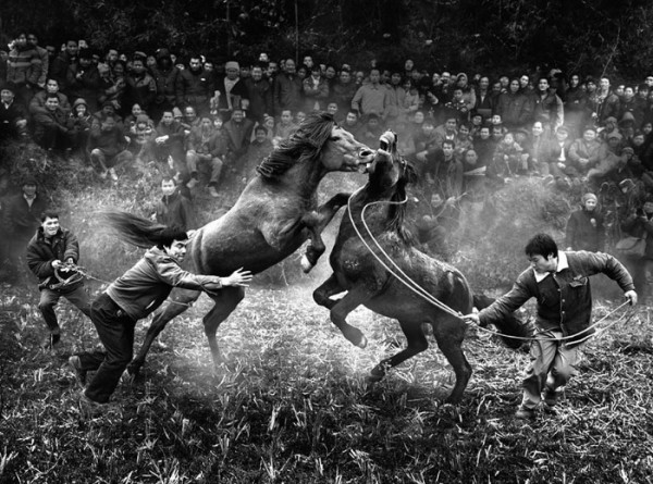 concurso-mundial-fotografia-sony-25