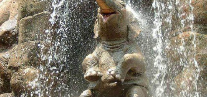 bebe-elefante