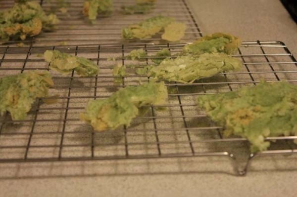 desastrosas-recetas-25