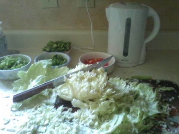 desastrosas-recetas-26