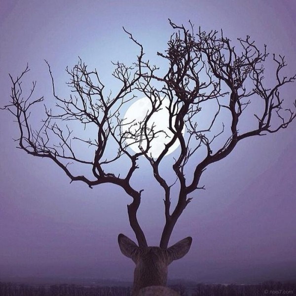 fotografia-surrealista-robert-jahns-20