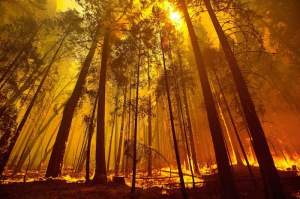 California wild fire near Yosemite