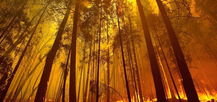 California wild fire near Yosemite