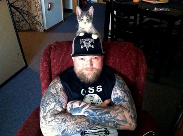 heavy-metal-con-gatos-01