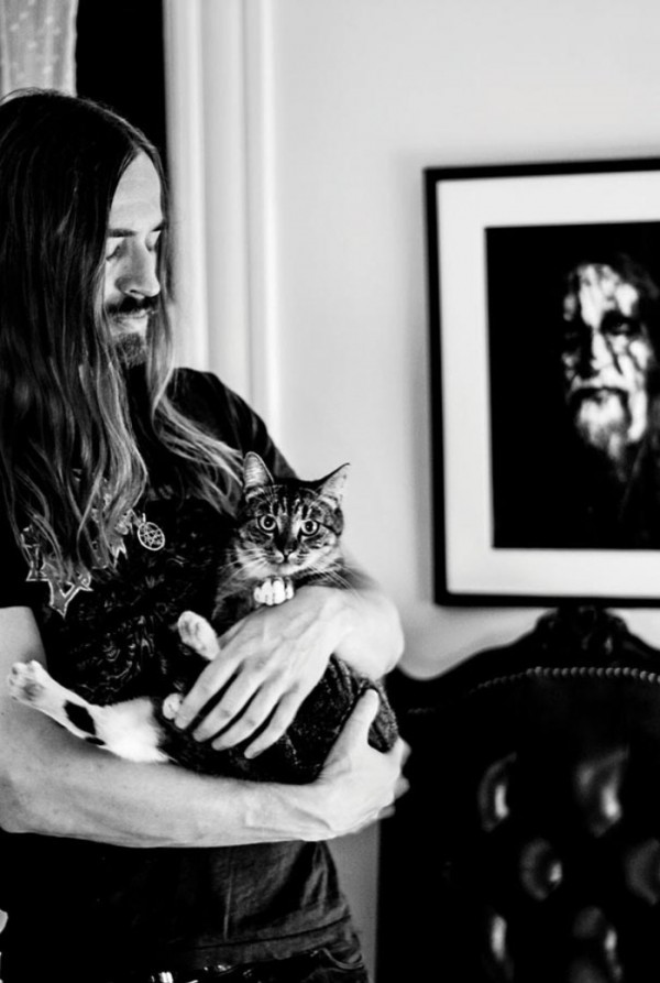heavy-metal-con-gatos-04