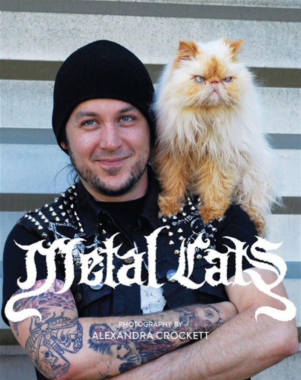heavy-metal-con-gatos-09