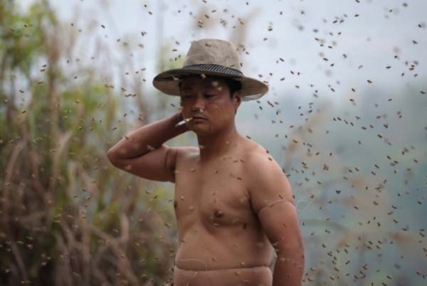 hombre-cubierto-abejas-02