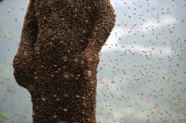 hombre-cubierto-abejas-07