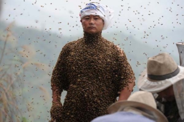 hombre-cubierto-abejas-08