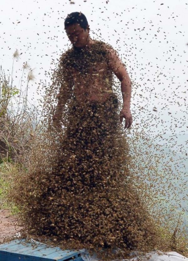 hombre-cubierto-abejas-09