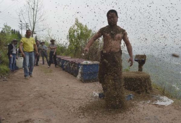 hombre-cubierto-abejas-10