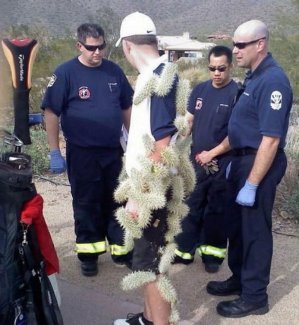 imagenes-graciosas-sin-explicacion-06