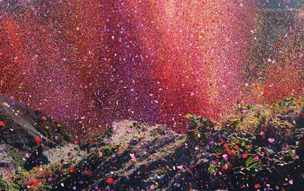 nickmeek-petalos-flores-02