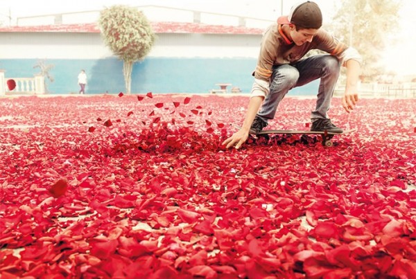 nickmeek-petalos-flores-04