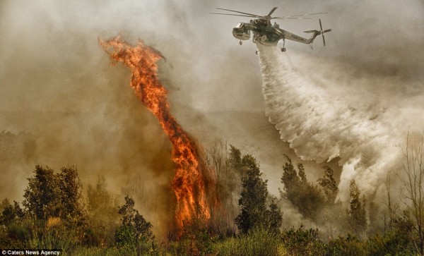 piloto03
