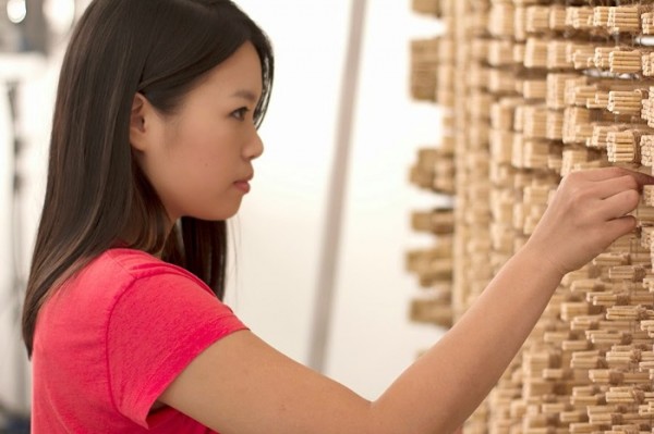 retrato-con-palillos-redhongyi-00