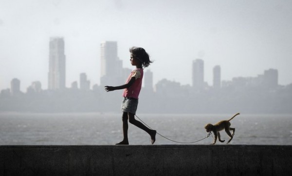 seres-humanos-33