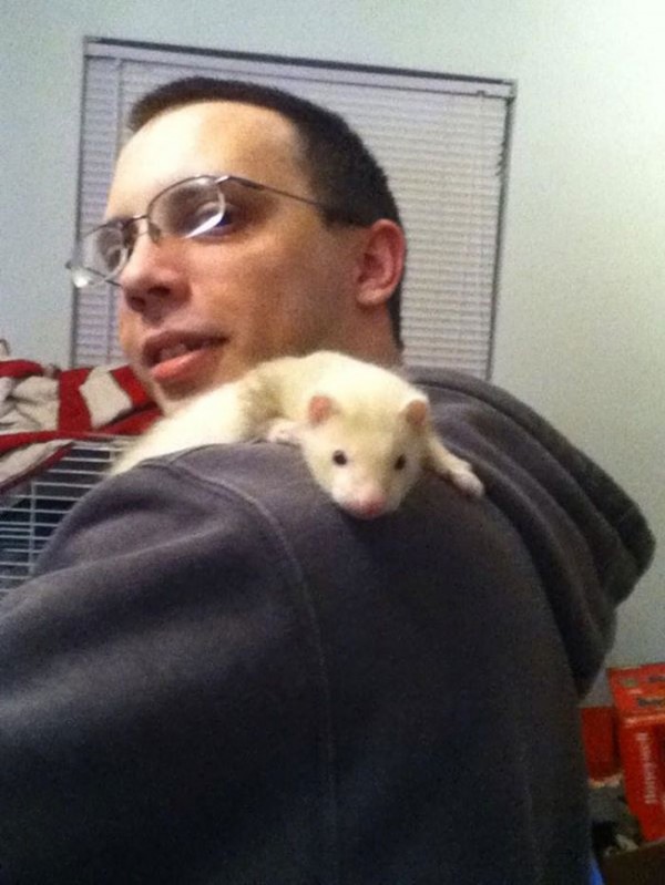 animales-albinos-24