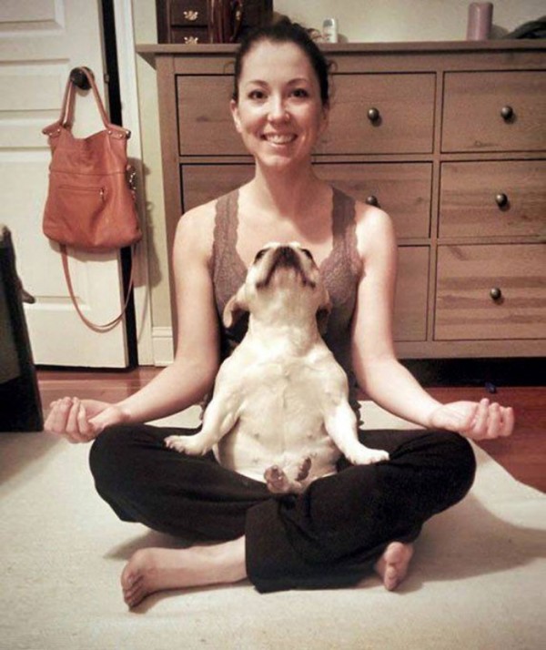 animales-divertidos-haciendo-yoga-07