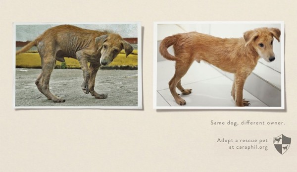 anuncios-conciencia-social-49