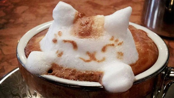 arte-latte-3d-01