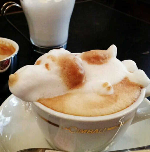 arte-latte-3d-02