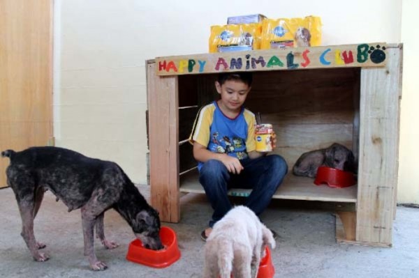chico-construye-refugio-para-animales-05