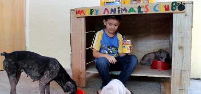 chico-construye-refugio-para-animales-05
