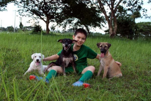 chico-construye-refugio-para-animales-06