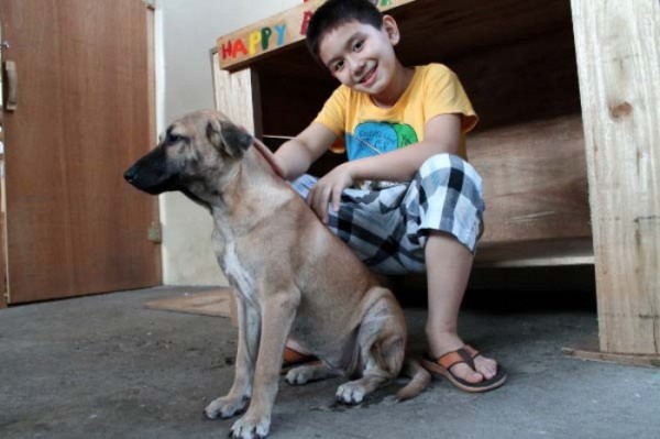 chico-construye-refugio-para-animales-09