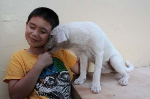 chico-construye-refugio-para-animales-10