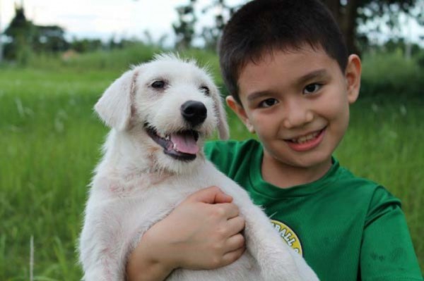 chico-construye-refugio-para-animales-11
