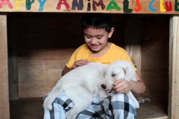 chico-construye-refugio-para-animales-12
