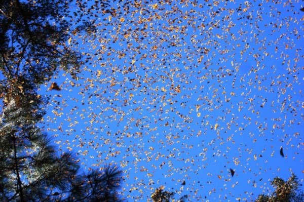 fenomenos-naturales-increibles-10