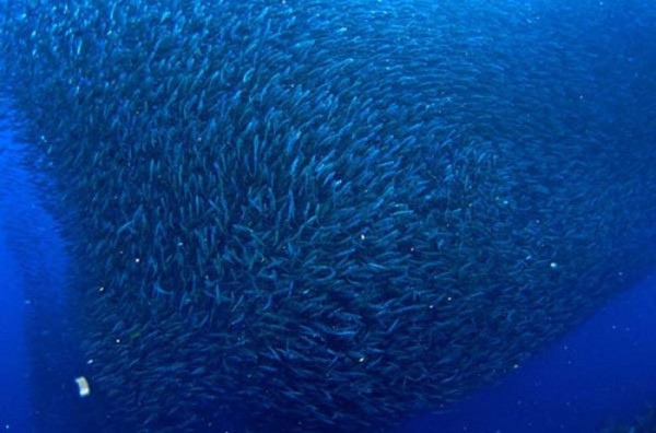 fenomenos-naturales-increibles-19