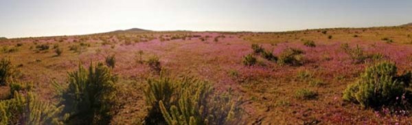 fenomenos-naturales-increibles-25