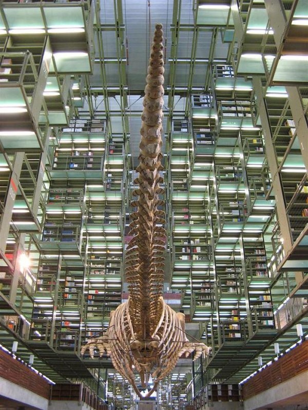 increibles-bibliotecas-del-mundo-22
