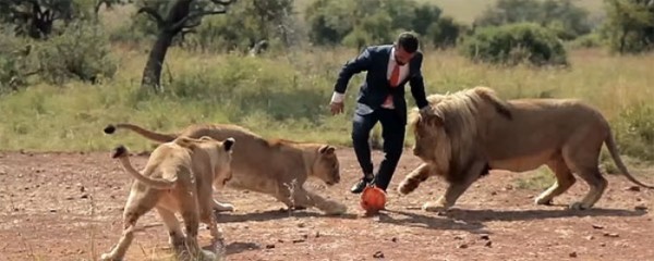 jugando-con-leones-salvajes-08