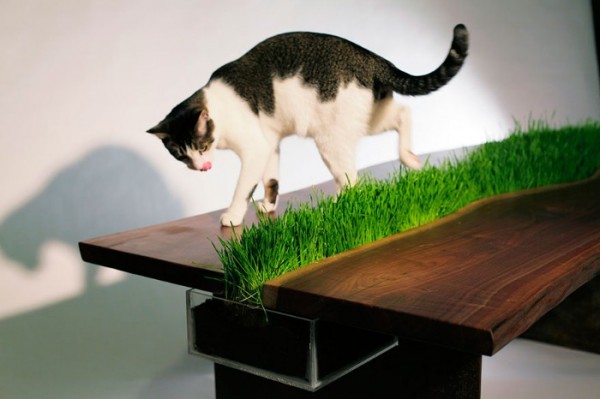mesas-con-diseno-creativo-17