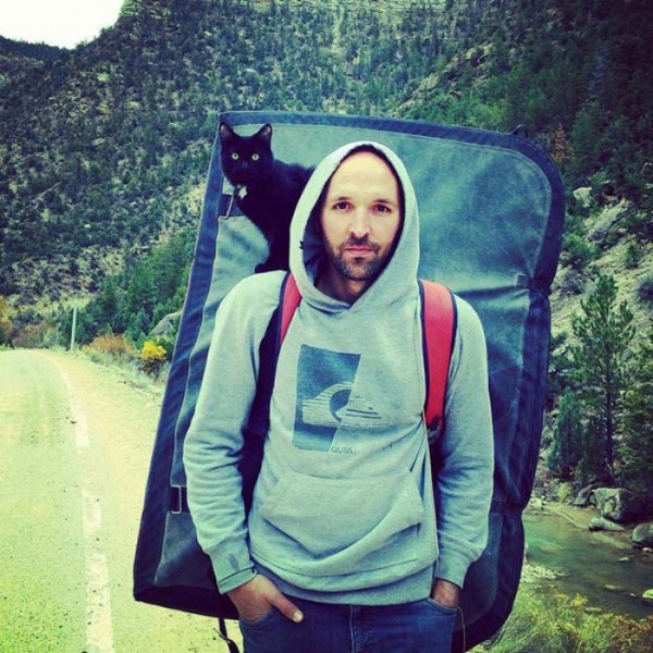 millie-gato-escalador-02