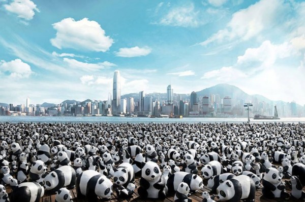 panda-papel-mache-gira-paulo-grangeon-00