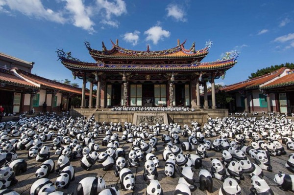 panda-papel-mache-gira-paulo-grangeon-01