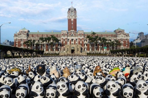 panda-papel-mache-gira-paulo-grangeon-02
